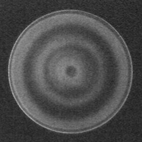 sphere with zones -- spot test